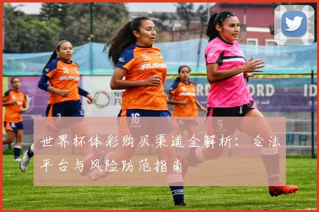 世界杯体彩购买渠道全解析：合法平台与风险防范指南