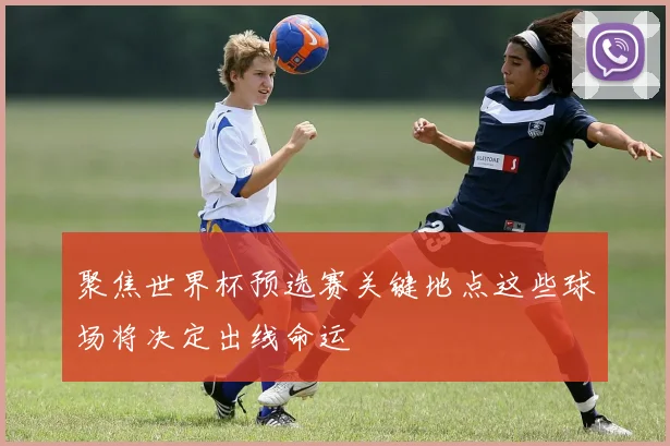 聚焦世界杯预选赛关键地点这些球场将决定出线命运