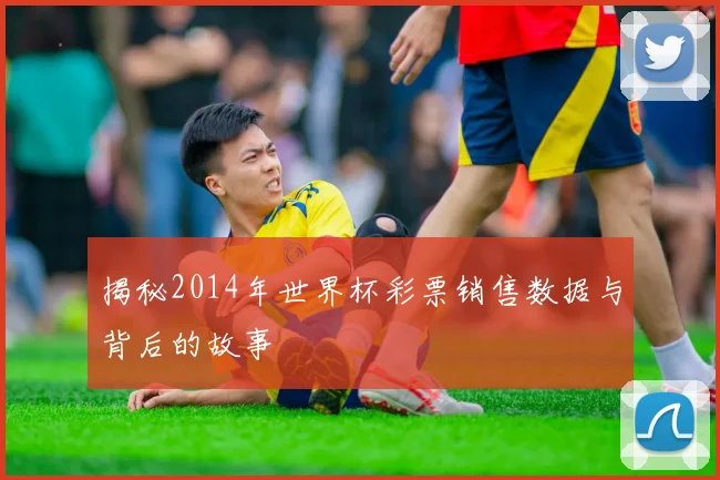揭秘2014年世界杯彩票销售数据与背后的故事
