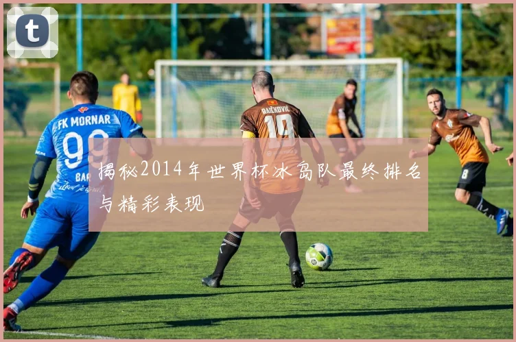 揭秘2014年世界杯冰岛队最终排名与精彩表现