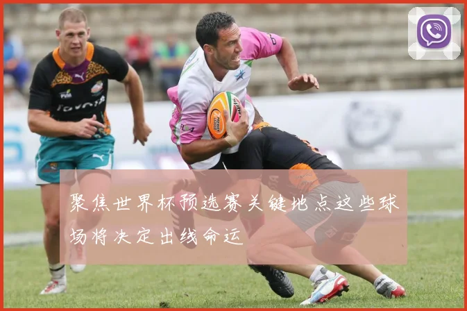 聚焦世界杯预选赛关键地点这些球场将决定出线命运