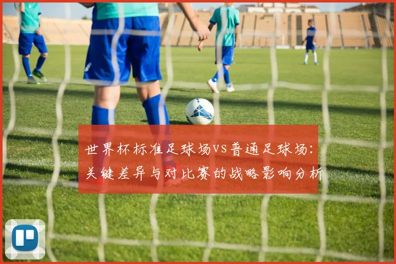 世界杯标准足球场vs普通足球场:关键差异与对比赛的战略影响分析