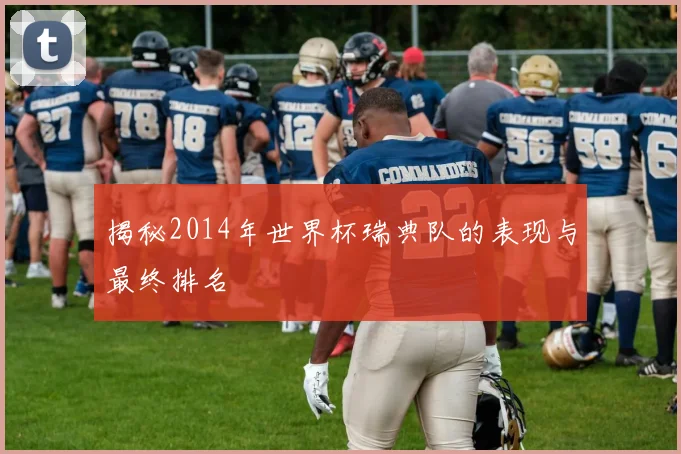 揭秘2014年世界杯瑞典队的表现与最终排名