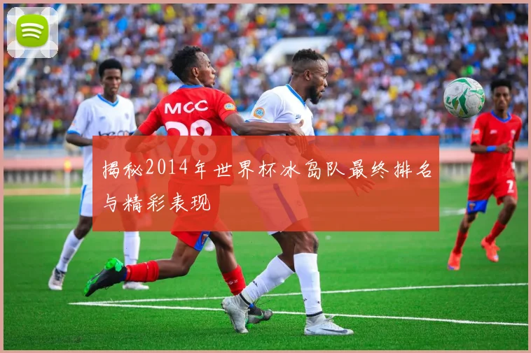 揭秘2014年世界杯冰岛队最终排名与精彩表现