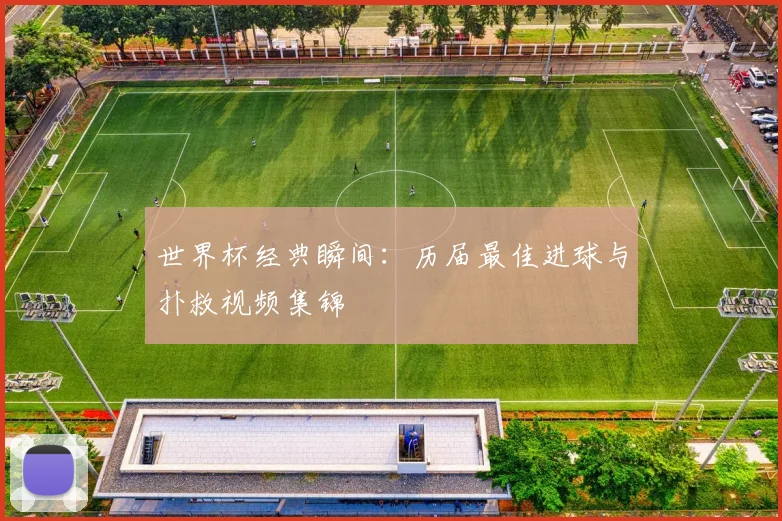 世界杯经典瞬间：历届最佳进球与扑救视频集锦