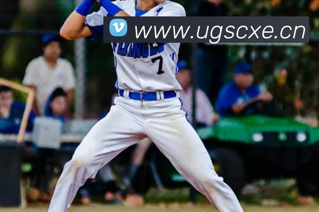 星空官网首页入口发展历程